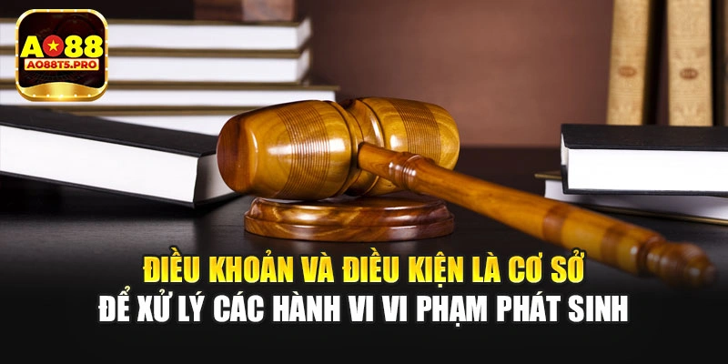 Điều khoản và điều kiện xử lý hành vi vi phạm