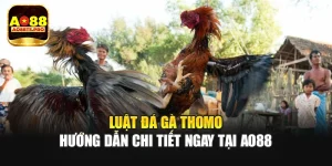 Luật Đá Gà Thomo - Hướng Dẫn Chi Tiết Ngay Tại AO88